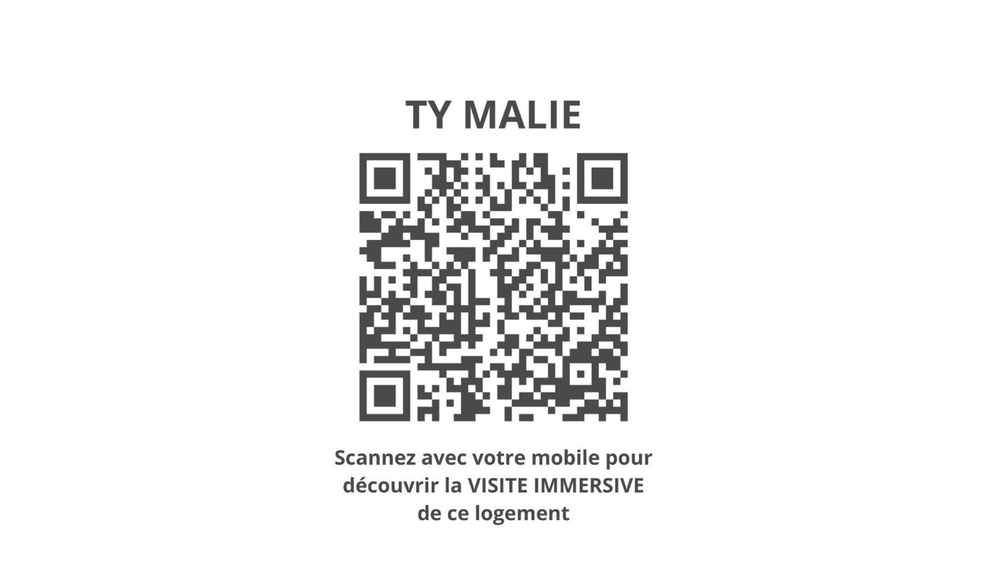 Ty Malie - Magnifique Loft En Coeur De Ville Avec Parking Vannes Eksteriør billede